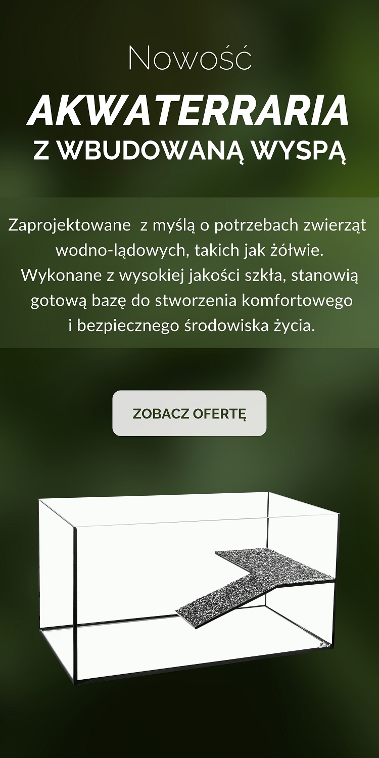 Akwaterraria z wyspą