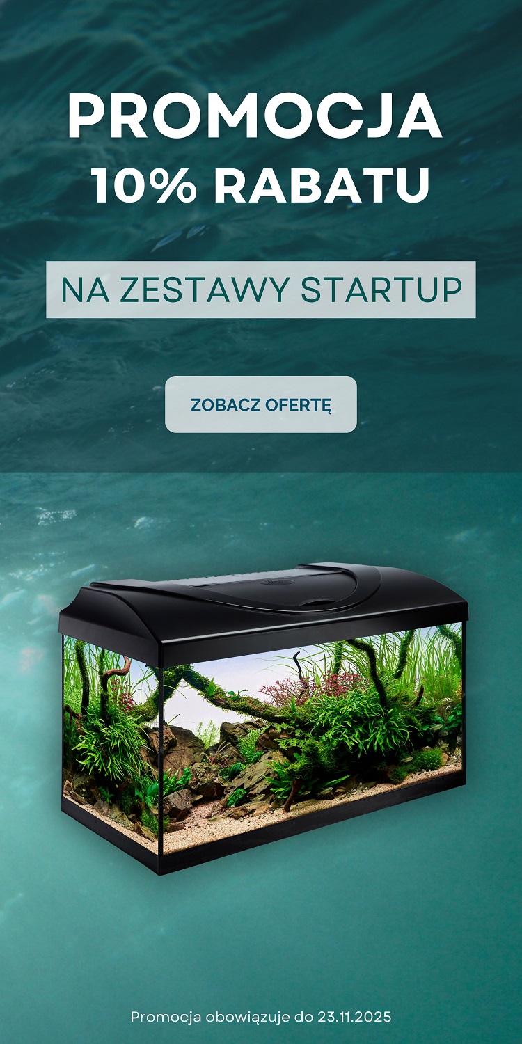 Promocja Zestawy Startup